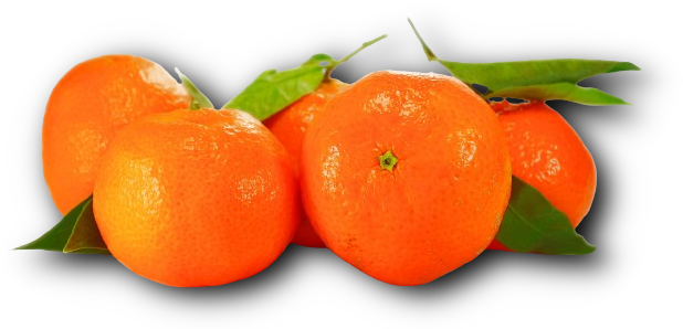 Mandarina