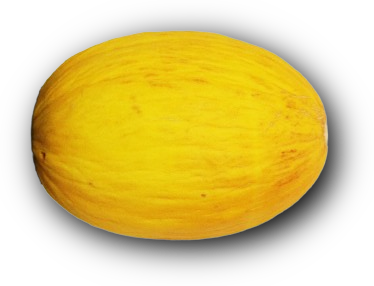 Melón amarillo