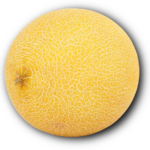 Melón Galia