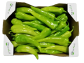 Pimiento Picante Verde / Chilli Green Capsicum